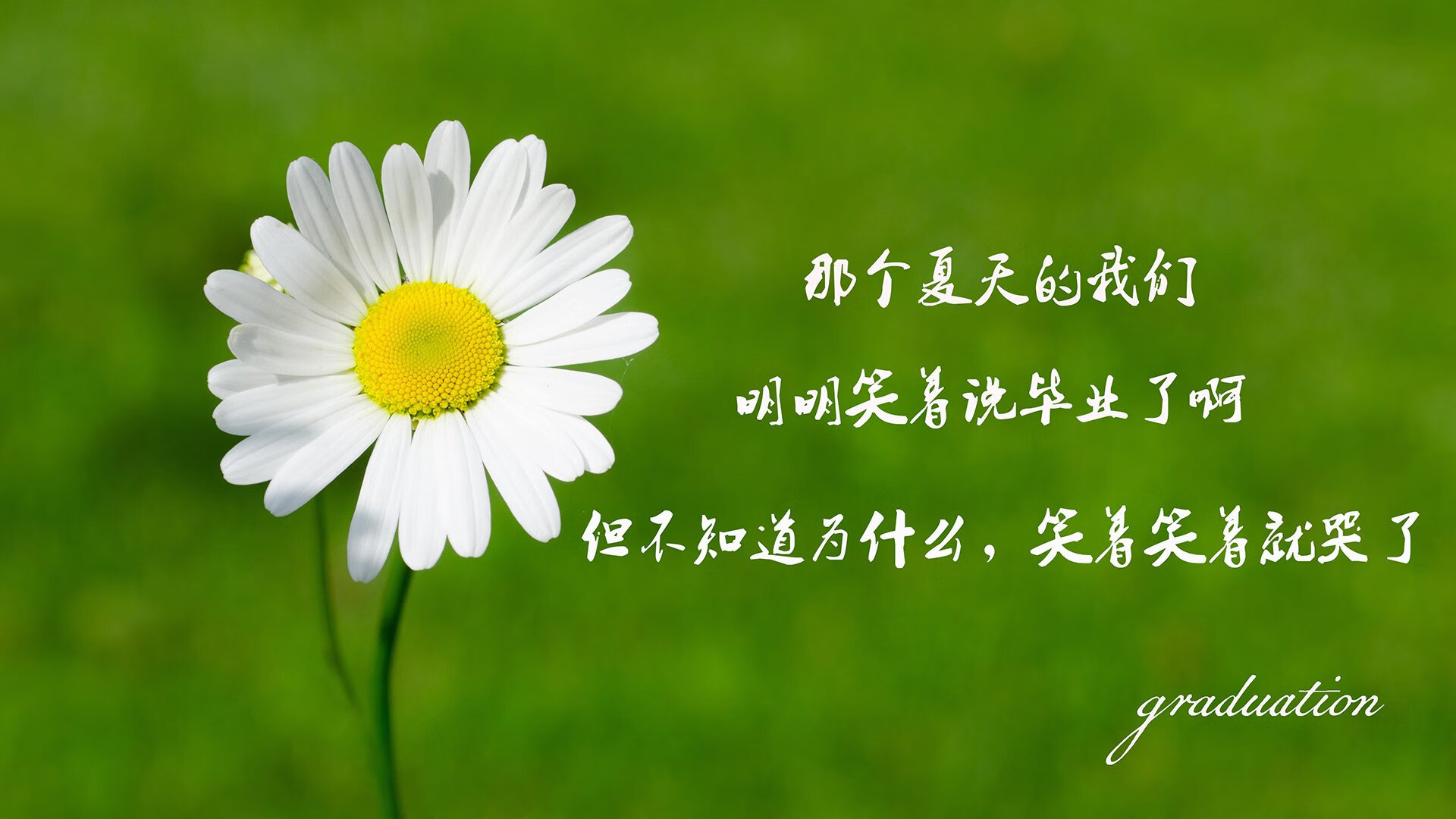 中超俱乐部资金投入持续增加，中超俱乐部怎么盈利