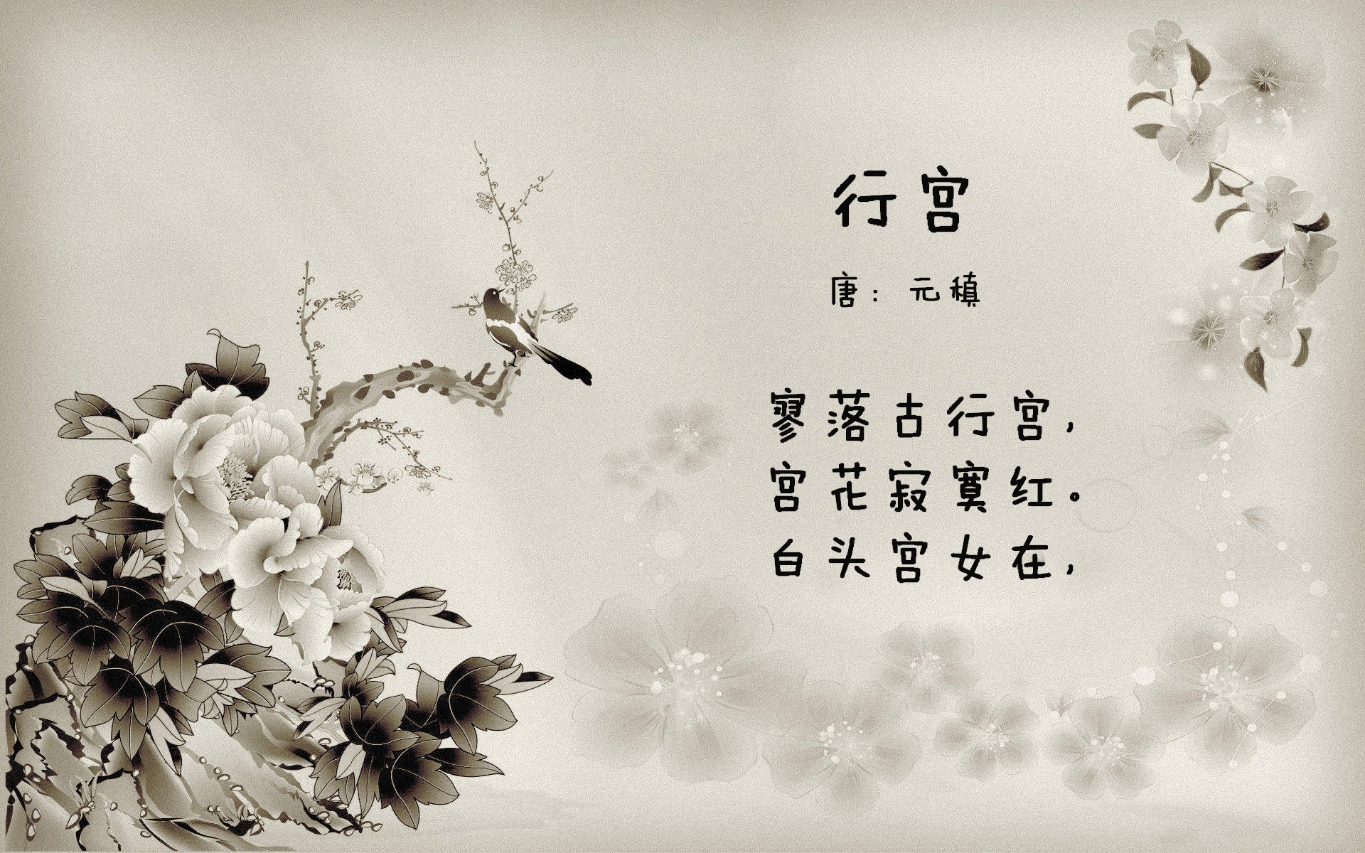 华山杯CBA篮球赛即将点燃燃情篮球热，华山俱乐部