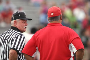 爱游戏官方入口-意甲裁判语义分析辅助判罚准确性的应用探讨，意甲裁判名单