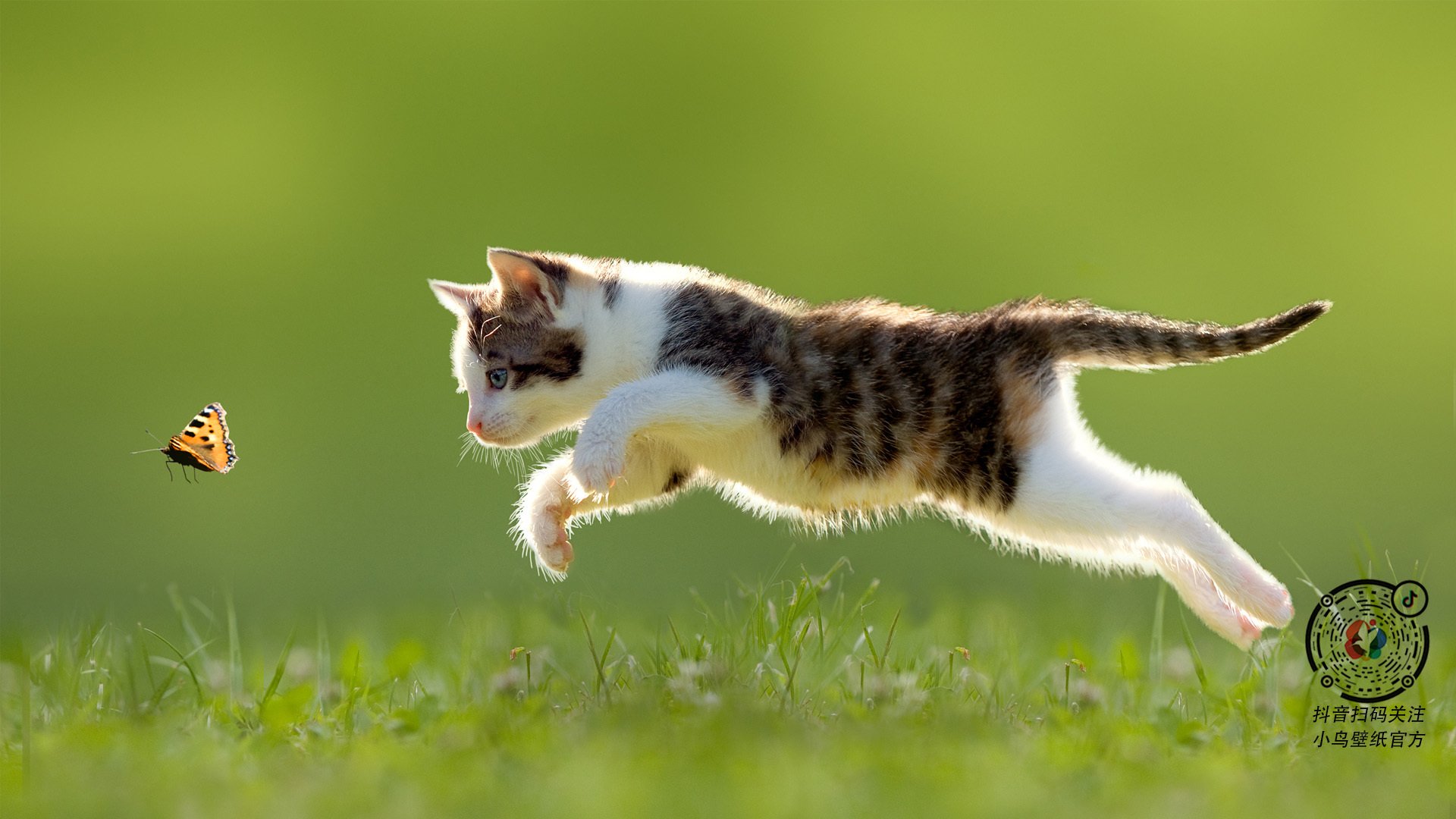 篮球专项体能训练技术创新与效果评估,篮球专项体能的五个方面