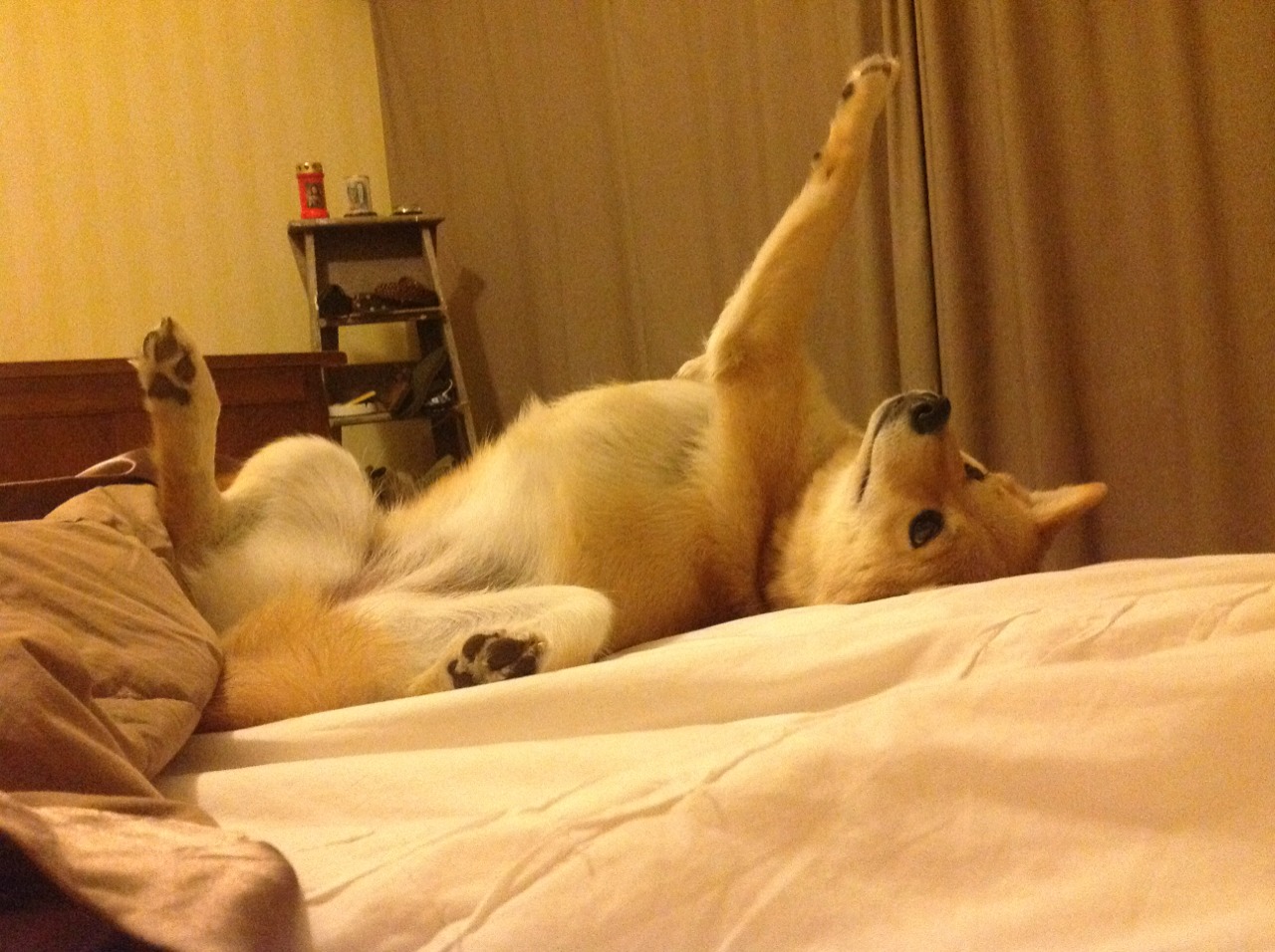 WTT大满贯赛王曼昱横扫晋级八强,王曼昱大满贯缺什么