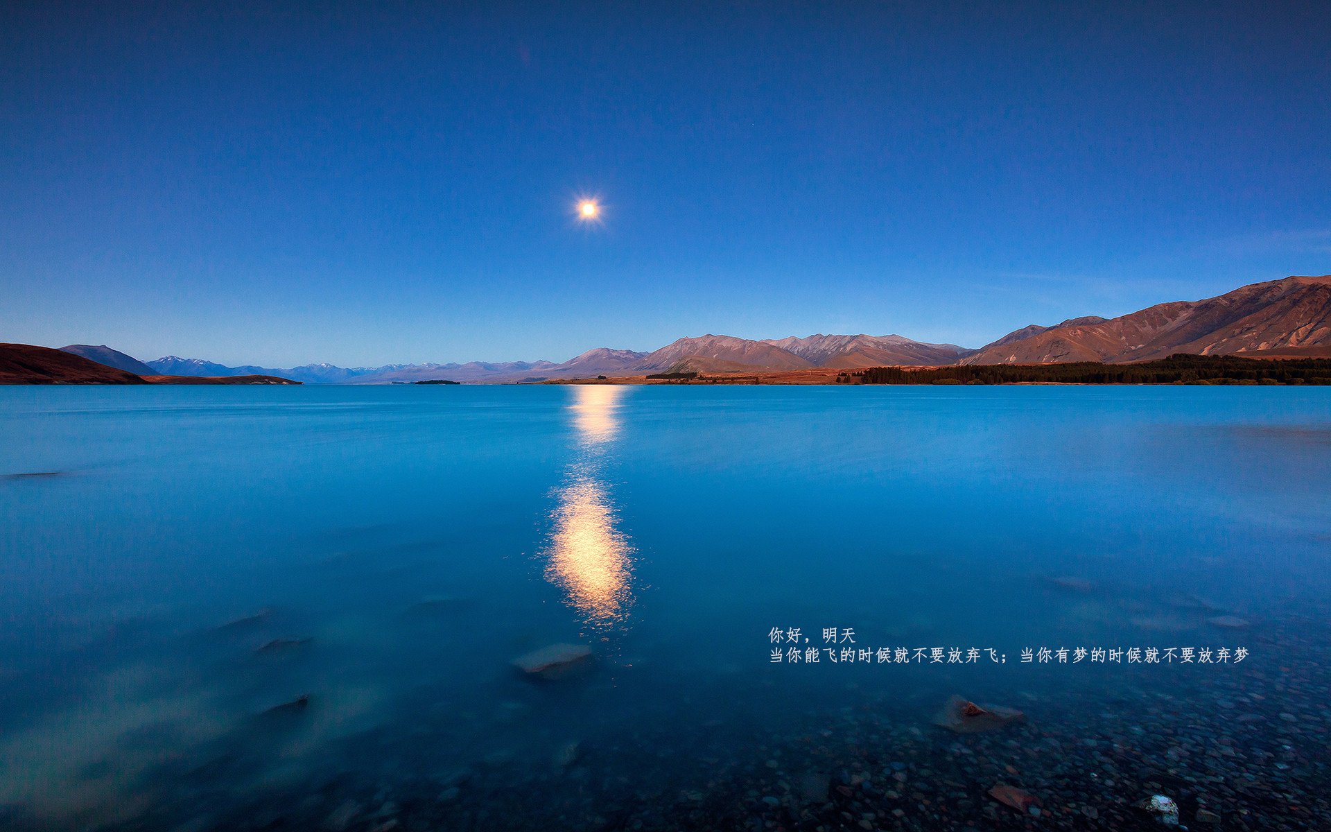 体育新闻中心上线体育内容精准推荐引擎,体育新闻f1