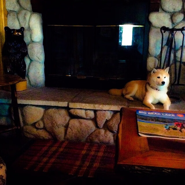 体育新闻中心协同多方建立体育内容风控机制,体育新闻机构