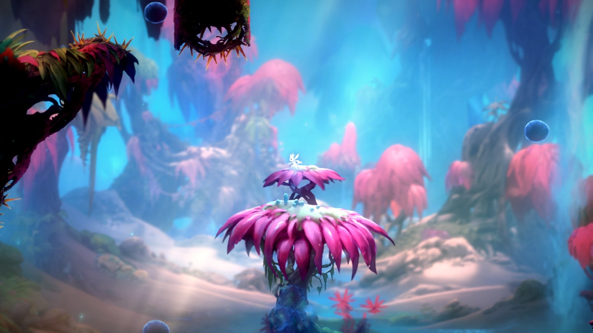 博卡门将神勇扑救,虽败犹荣,博卡俱乐部著名球星