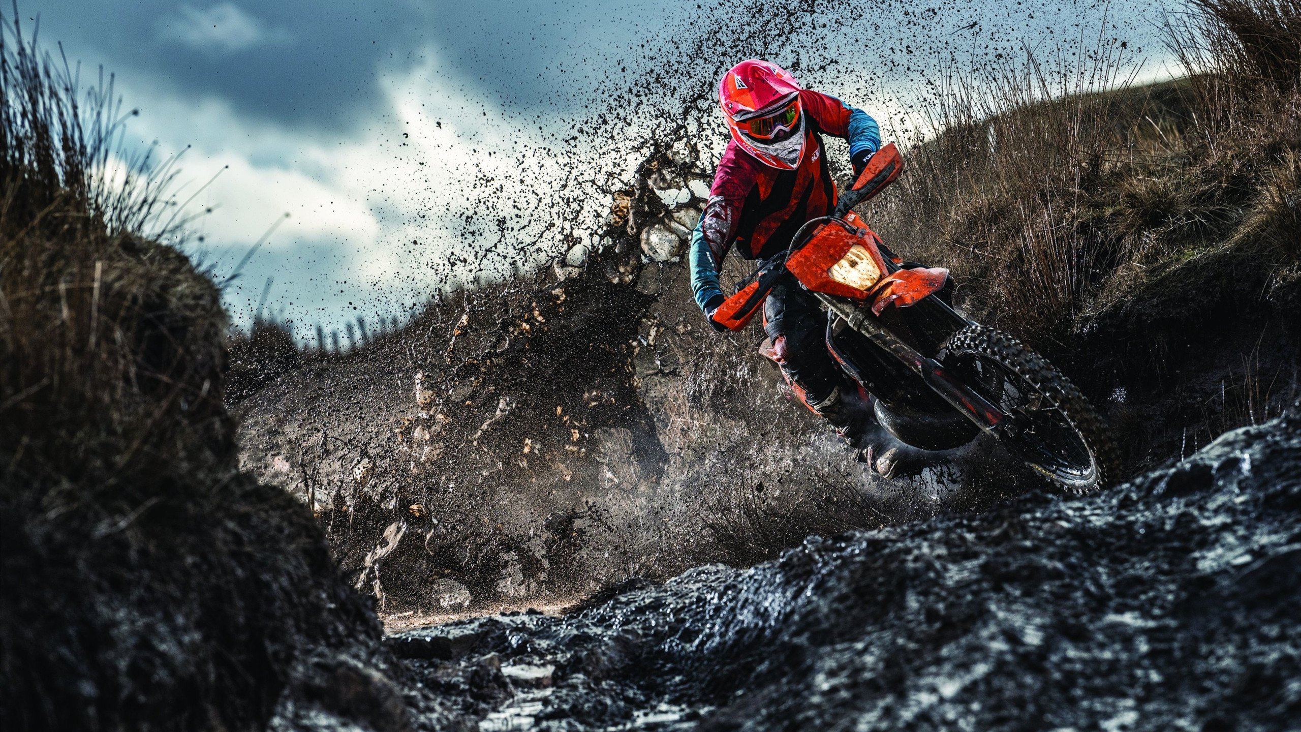 利物浦在2024年英超联赛中获得亚军，利物浦最近一次英超冠军